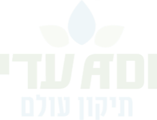 עדי – תיקון עולם